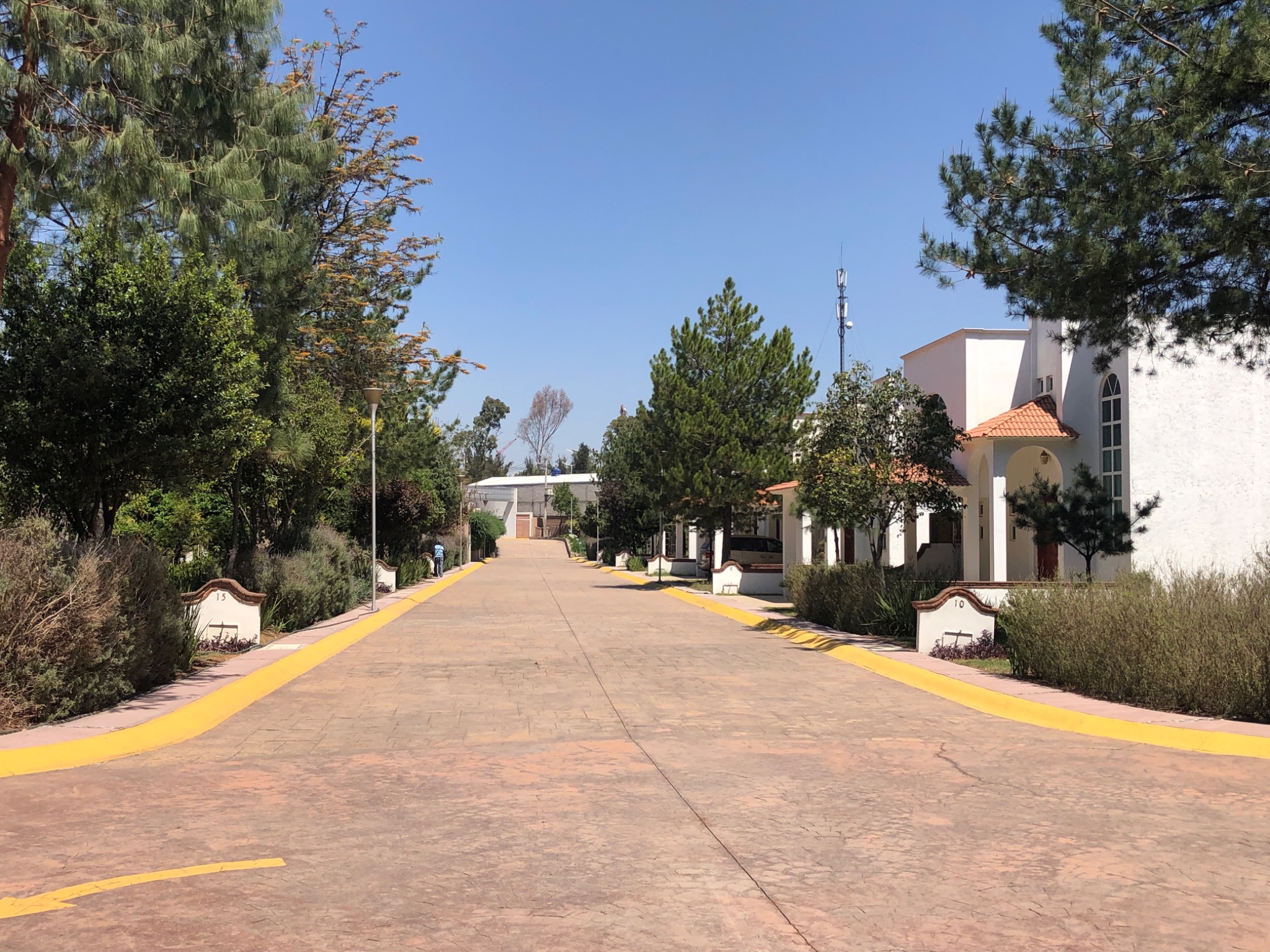 Calles interiores arboladas dentro del fraccionamiento